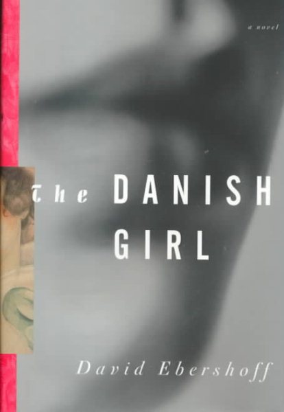 The Danish Girl book cover