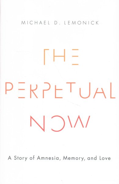 The Perpetual Now book cover