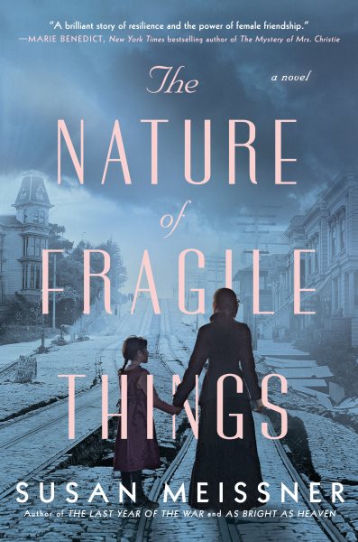 Nature Of Fragile Things by Susan Meissner