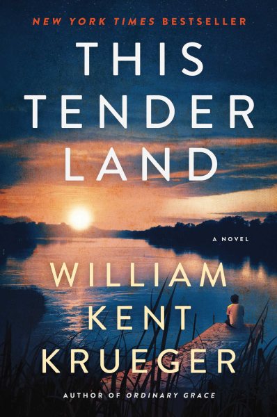 sunset over a river in blues and pinks with a young boy seen from behind sitting at the edge of a river pier looking out--book cover image
