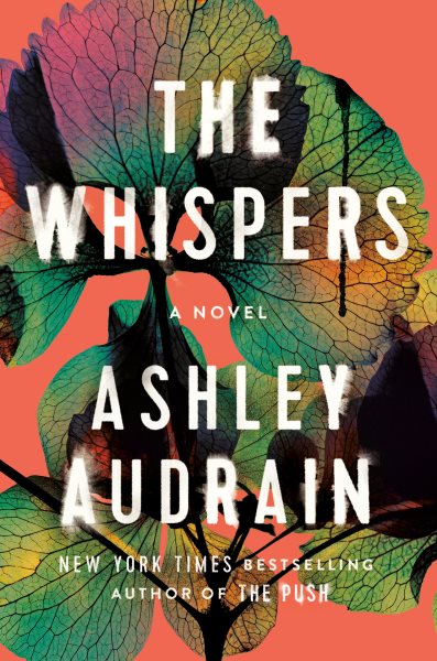 Whispers by Ashley Audrain