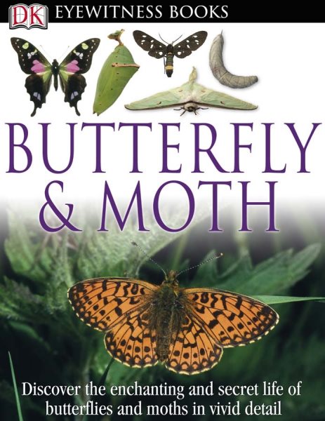 Book_Cover-Butterfly_and_Moth